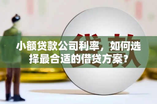 滁州小额贷款公司利率，如何选择最合适的借贷方案？