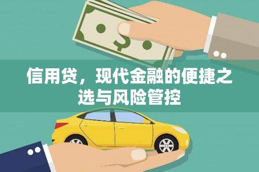 滁州信用贷，现代金融的便捷之选与风险管控