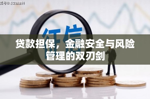 滁州贷款担保，金融安全与风险管理的双刃剑
