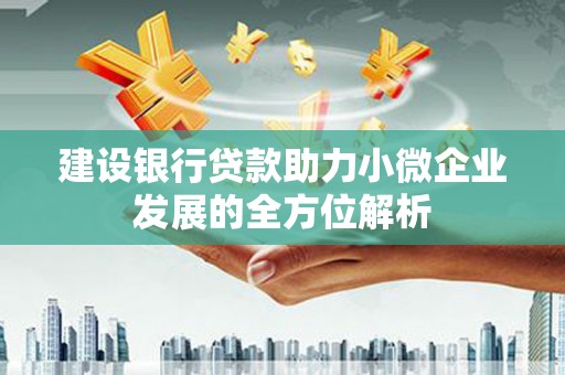 滁州建设银行贷款助力小微企业发展的全方位解析