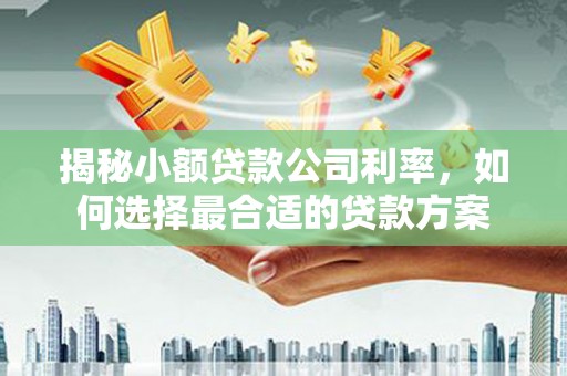 滁州揭秘小额贷款公司利率，如何选择最合适的贷款方案