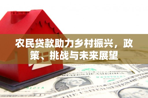 滁州农民贷款助力乡村振兴，政策、挑战与未来展望