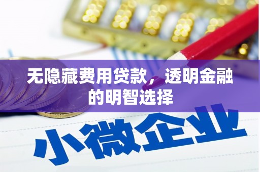 滁州无隐藏费用贷款，透明金融的明智选择