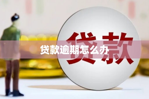 滁州贷款逾期怎么办