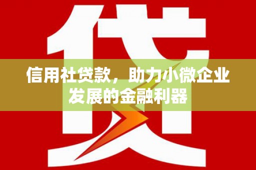 滁州信用社贷款，助力小微企业发展的金融利器