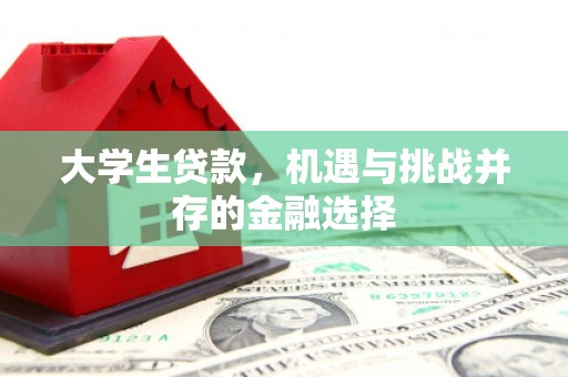 滁州大学生贷款，机遇与挑战并存的金融选择