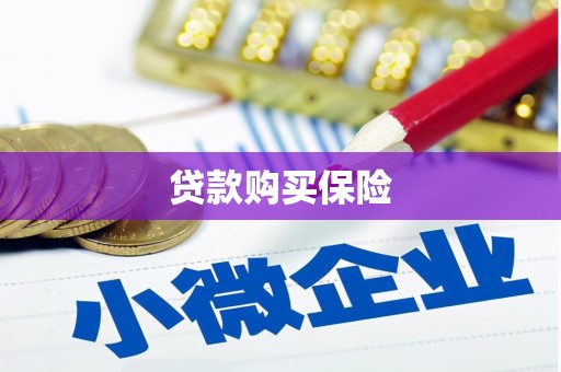 滁州贷款购买保险