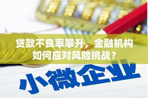 滁州贷款不良率攀升，金融机构如何应对风险挑战？