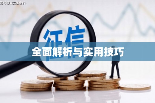 滁州全面解析与实用技巧