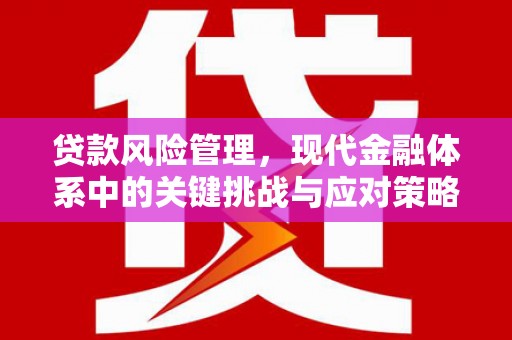 滁州贷款风险管理，现代金融体系中的关键挑战与应对策略