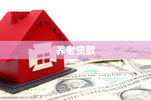 滁州养老贷款