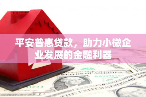 滁州平安普惠贷款，助力小微企业发展的金融利器