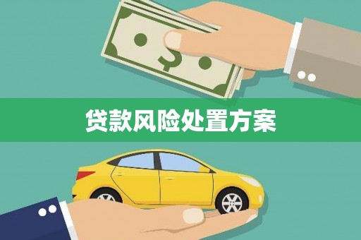 滁州贷款风险处置方案