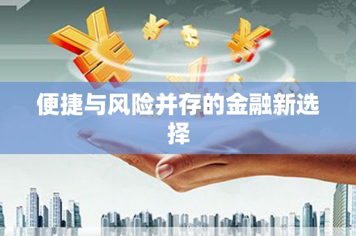 滁州便捷与风险并存的金融新选择