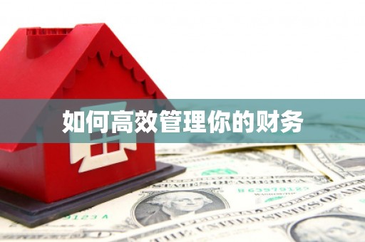 滁州如何高效管理你的财务