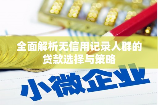 滁州全面解析无信用记录人群的贷款选择与策略