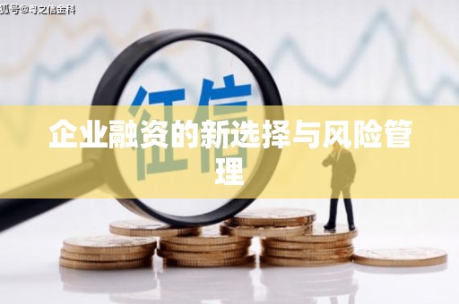 滁州企业融资的新选择与风险管理