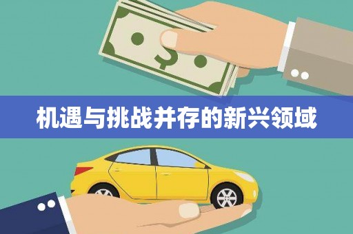 滁州机遇与挑战并存的新兴领域