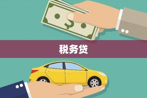 滁州税务贷