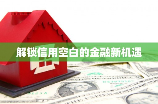 滁州解锁信用空白的金融新机遇