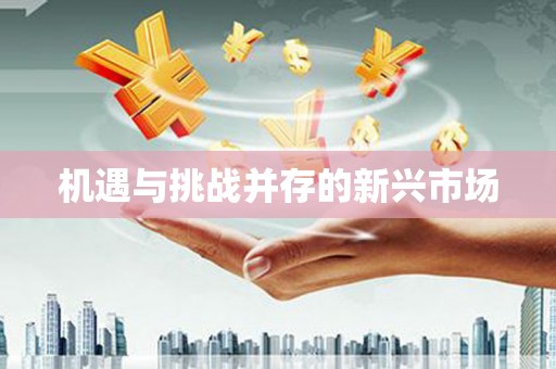 滁州机遇与挑战并存的新兴市场