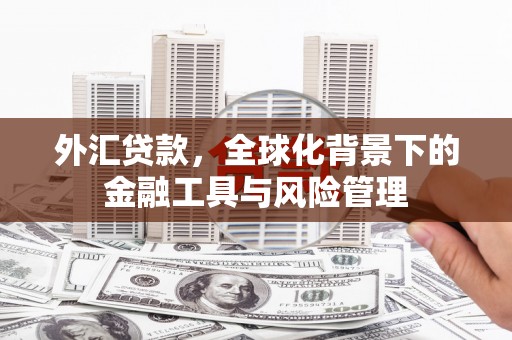 滁州外汇贷款，全球化背景下的金融工具与风险管理