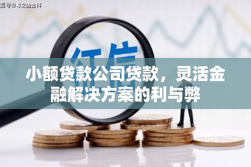滁州小额贷款公司贷款，灵活金融解决方案的利与弊