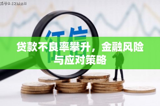 滁州贷款不良率攀升，金融风险与应对策略