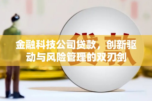 滁州金融科技公司贷款，创新驱动与风险管理的双刃剑