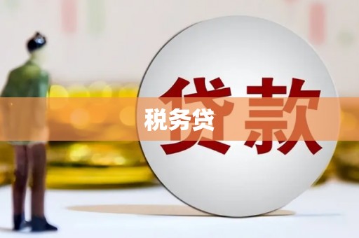 滁州税务贷