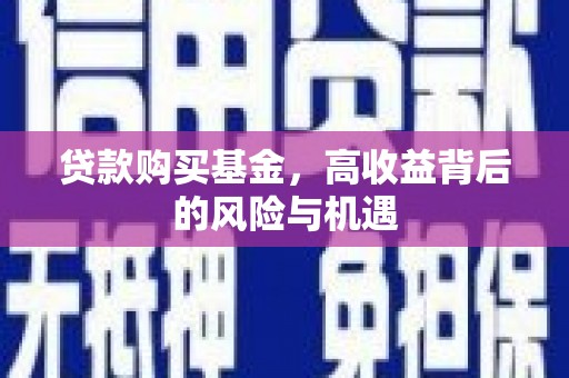 滁州贷款购买基金，高收益背后的风险与机遇